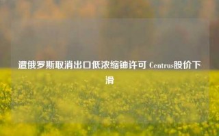 遭俄罗斯取消出口低浓缩铀许可 Centrus股价下滑