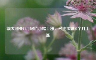 澳大利亚11月房价小幅上涨，已连续第22个月上涨