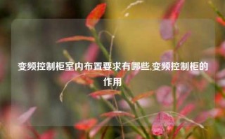 变频控制柜室内布置要求有哪些,变频控制柜的作用