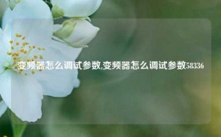 变频器怎么调试参数,变频器怎么调试参数58336