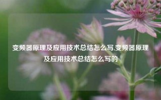 变频器原理及应用技术总结怎么写,变频器原理及应用技术总结怎么写的