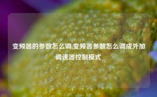 变频器的参数怎么调,变频器参数怎么调成外加调速器控制模式