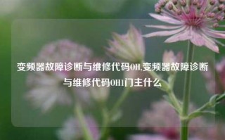 变频器故障诊断与维修代码OH,变频器故障诊断与维修代码OH1门主什么