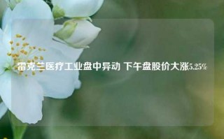 雷克兰医疗工业盘中异动 下午盘股价大涨5.25%