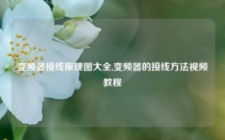 变频器接线原理图大全,变频器的接线方法视频教程