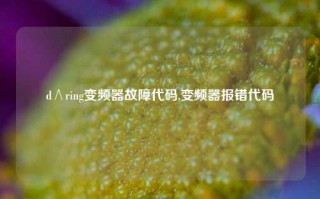 d∧ring变频器故障代码,变频器报错代码