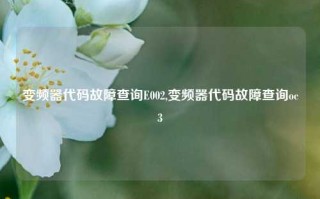 变频器代码故障查询E002,变频器代码故障查询oc3