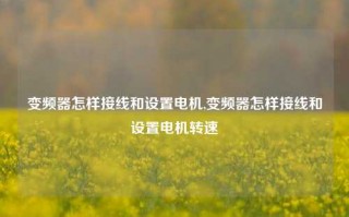 变频器怎样接线和设置电机,变频器怎样接线和设置电机转速