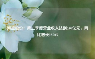 海星股份：第三季度营业收入达到5.09亿元，同比增长12.20%