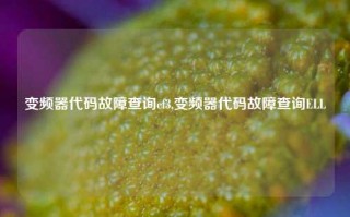 变频器代码故障查询cf3,变频器代码故障查询ELL