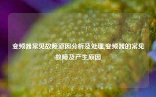 变频器常见故障原因分析及处理,变频器的常见故障及产生原因