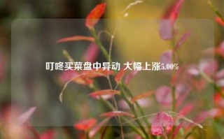 叮咚买菜盘中异动 大幅上涨5.00%