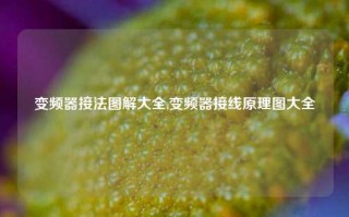 变频器接法图解大全,变频器接线原理图大全