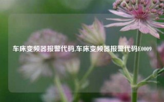 车床变频器报警代码,车床变频器报警代码E0009