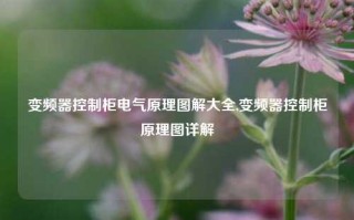 变频器控制柜电气原理图解大全,变频器控制柜原理图详解