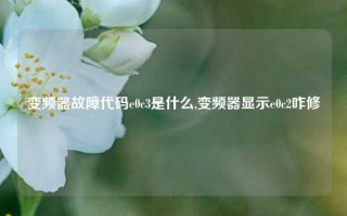 变频器故障代码e0c3是什么,变频器显示e0c2咋修