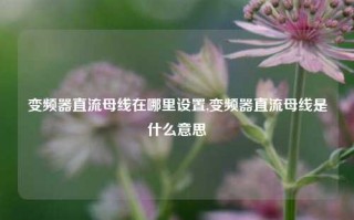 变频器直流母线在哪里设置,变频器直流母线是什么意思