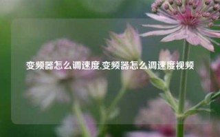 变频器怎么调速度,变频器怎么调速度视频