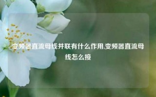 变频器直流母线并联有什么作用,变频器直流母线怎么接