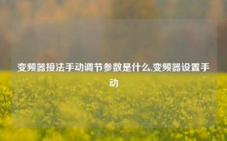 变频器接法手动调节参数是什么,变频器设置手动