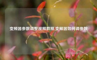 变频器参数调整视频教程,变频器如何调参数