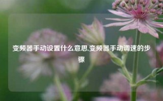 变频器手动设置什么意思,变频器手动调速的步骤