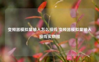 变频器模拟量输入怎么接线,变频器模拟量输入接线实物图