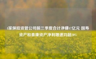 4家保险资管公司前三季度合计净赚47亿元 国寿资产和泰康资产净利增速均超20%