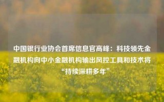 中国银行业协会首席信息官高峰：科技领先金融机构向中小金融机构输出风控工具和技术将“持续深耕多年”