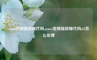 zoncn变频器故障代码,zoncn变频器故障代码ol2怎么处理