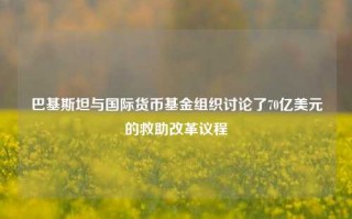 巴基斯坦与国际货币基金组织讨论了70亿美元的救助改革议程