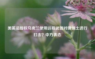 美英法授权乌克兰使用远程武器对俄领土进行打击？中方表态