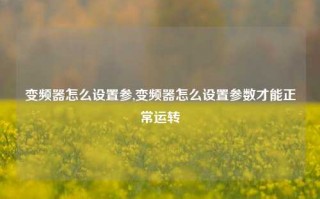 变频器怎么设置参,变频器怎么设置参数才能正常运转