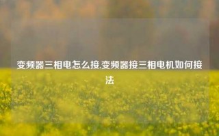 变频器三相电怎么接,变频器接三相电机如何接法