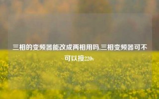 三相的变频器能改成两相用吗,三相变频器可不可以接220v