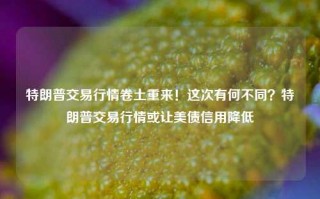 特朗普交易行情卷土重来！这次有何不同？特朗普交易行情或让美债信用降低