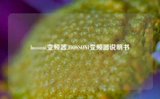 hossoni变频器,HOSSONI变频器说明书