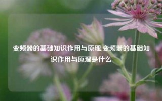 变频器的基础知识作用与原理,变频器的基础知识作用与原理是什么