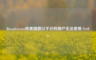 Downdetector称美国数以千计的用户无法使用 Netflix