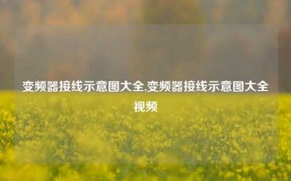 变频器接线示意图大全,变频器接线示意图大全视频