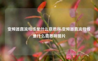 变频器直流母线是什么意思呀,变频器直流母线是什么意思呀图片