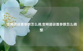 变频器设置参数怎么调,变频器设置参数怎么调整