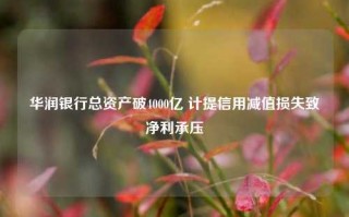 华润银行总资产破4000亿 计提信用减值损失致净利承压