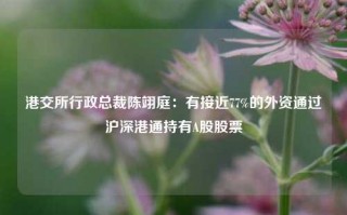 港交所行政总裁陈翊庭：有接近77%的外资通过沪深港通持有A股股票