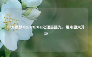 华为麒麟9020/9030/9040处理器曝光，带来四大升级