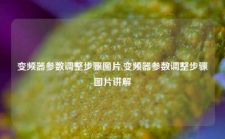 变频器参数调整步骤图片,变频器参数调整步骤图片讲解