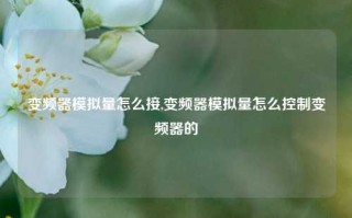 变频器模拟量怎么接,变频器模拟量怎么控制变频器的