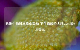 哈佛生物科学盘中异动 下午盘股价大跌5.58%报2.03美元