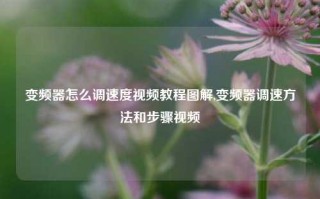 变频器怎么调速度视频教程图解,变频器调速方法和步骤视频