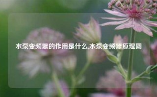 水泵变频器的作用是什么,水泵变频器原理图